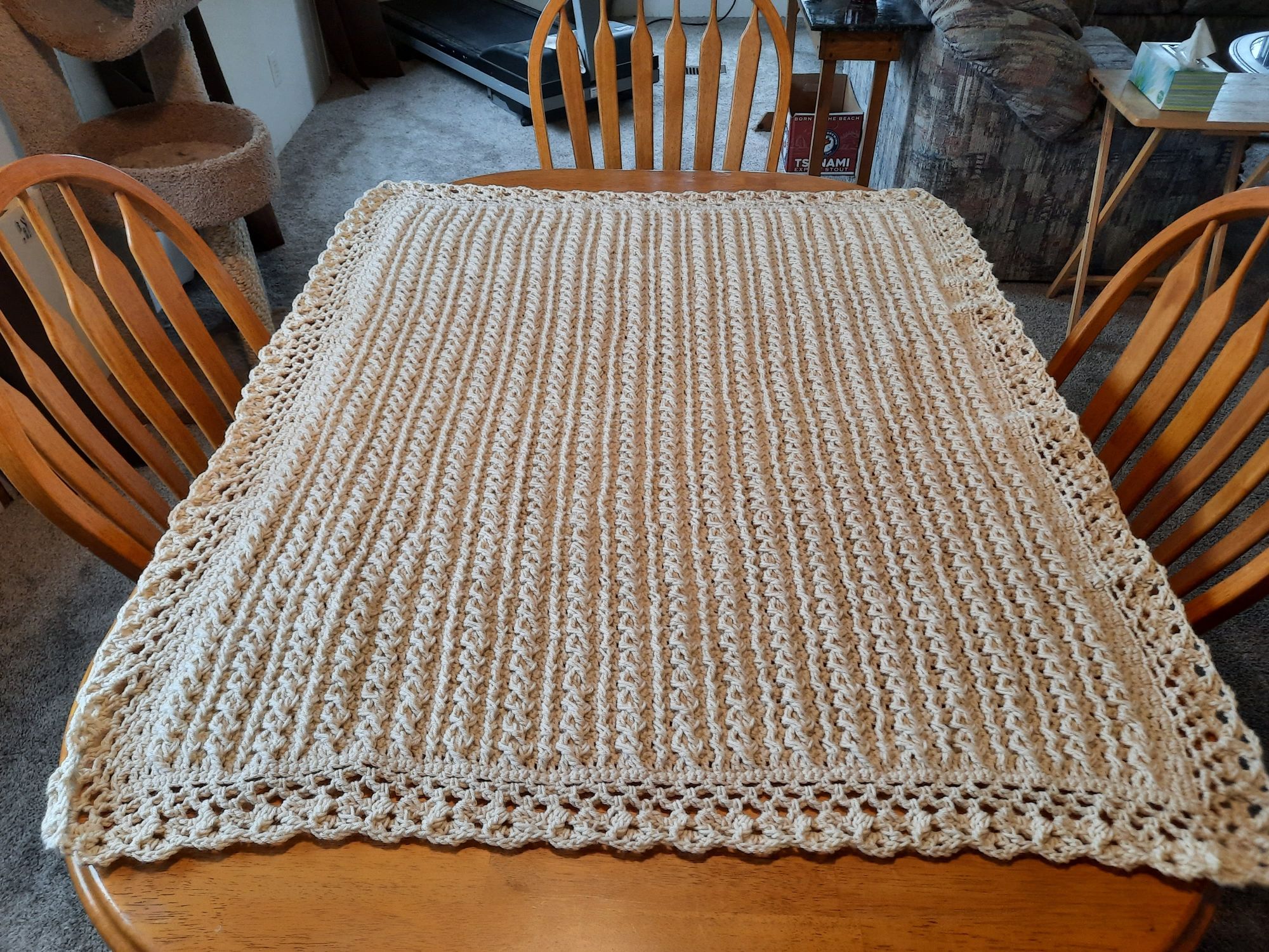 Cables and Braids Blanket
